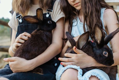 Two girls each holding a brown bunny.