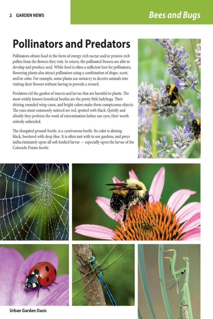 3.1 InDesign Garden Newsletter Assignment