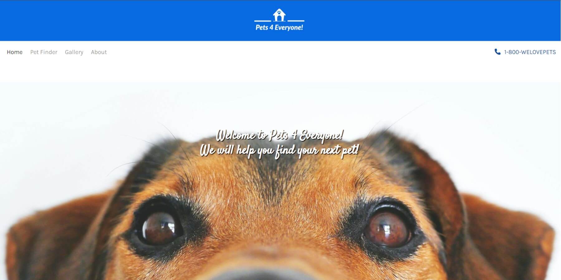 Pets 4 Everyone Home Page