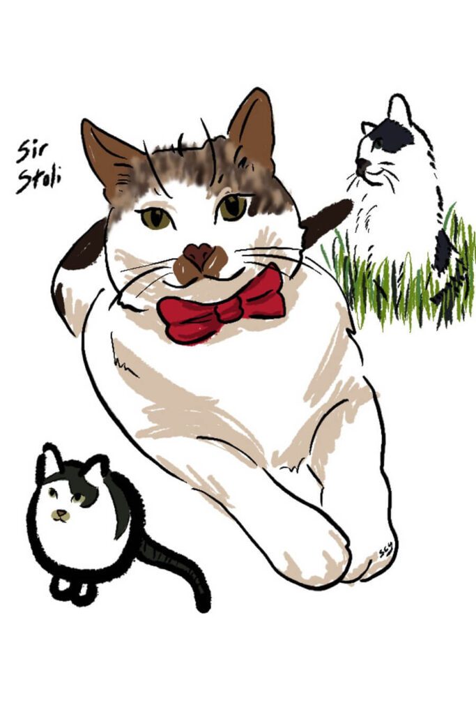 Digital drawing of a moustache cat.